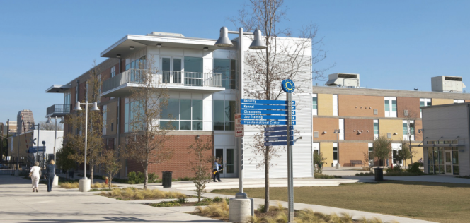 Haven for Hope Cover Image