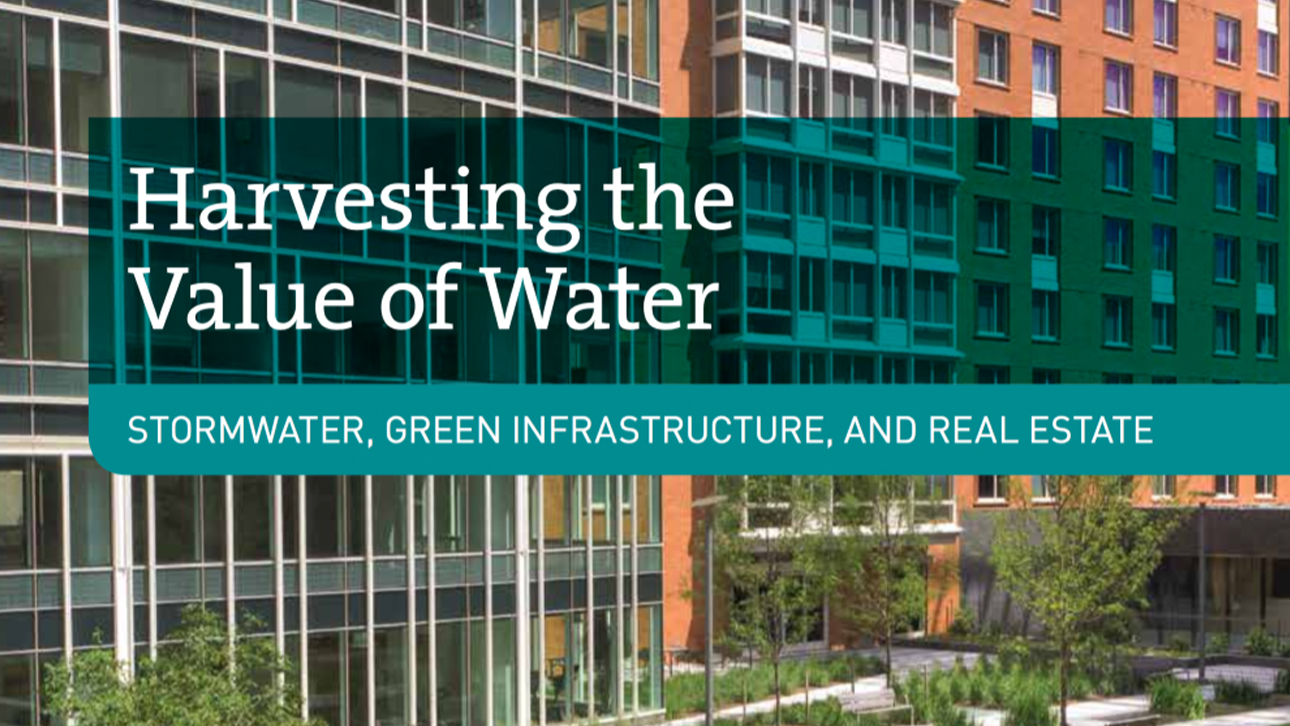 Portada del informe Cosechando el valor del agua