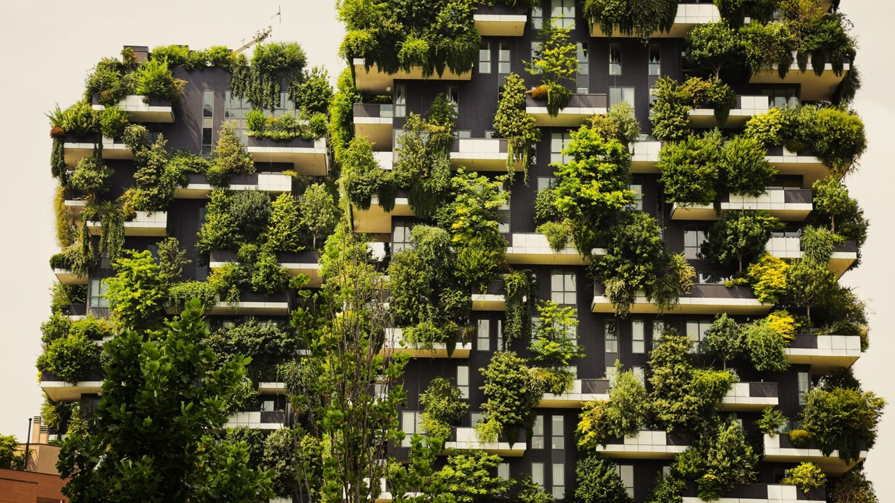 Multistory building covered in plants