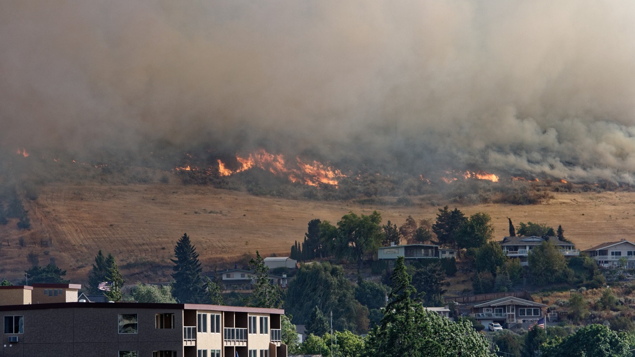Stratégies de résilience aux incendies de forêt pour l'immobilier