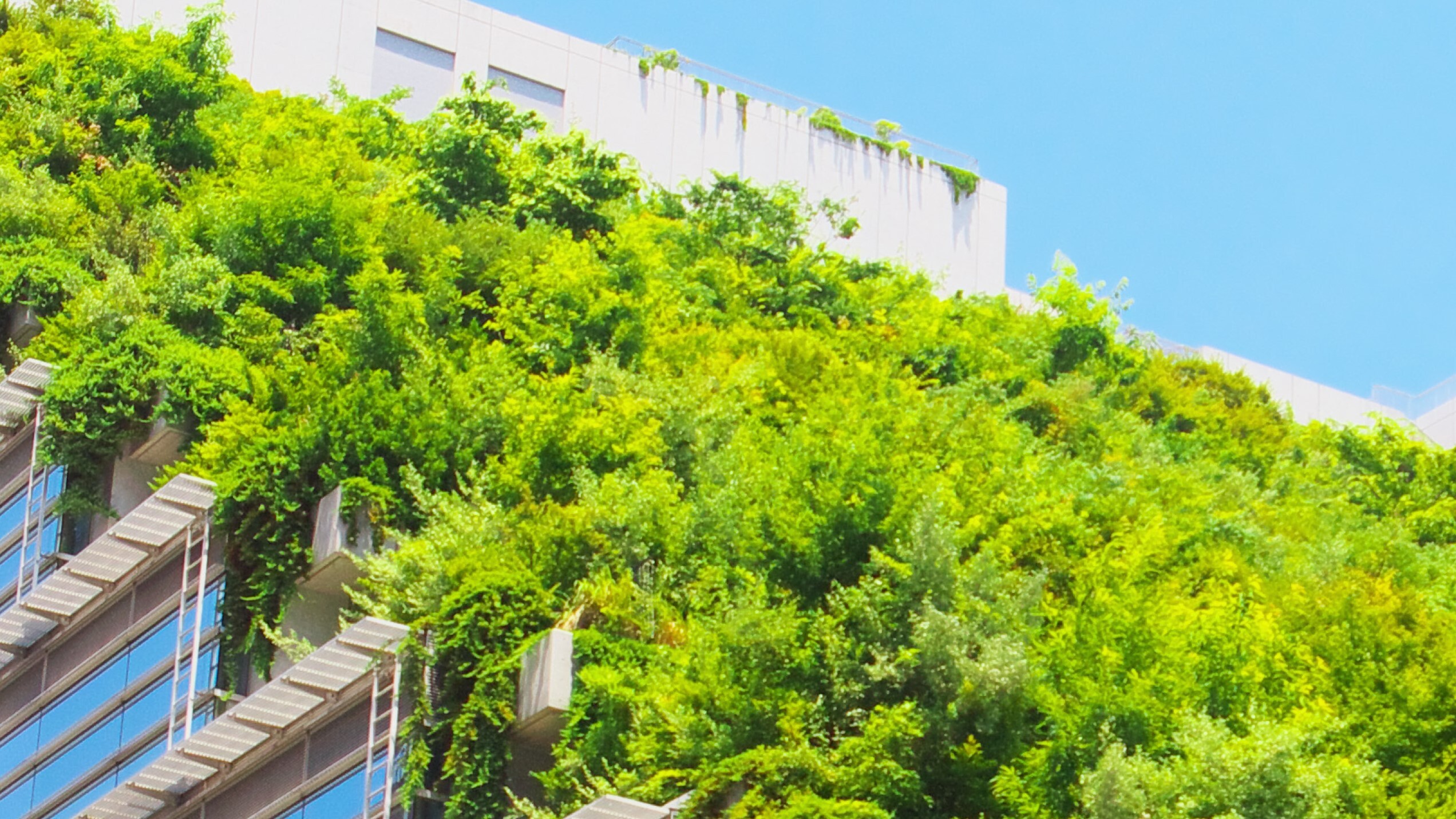 Greenprint Performance Report, Volume 11