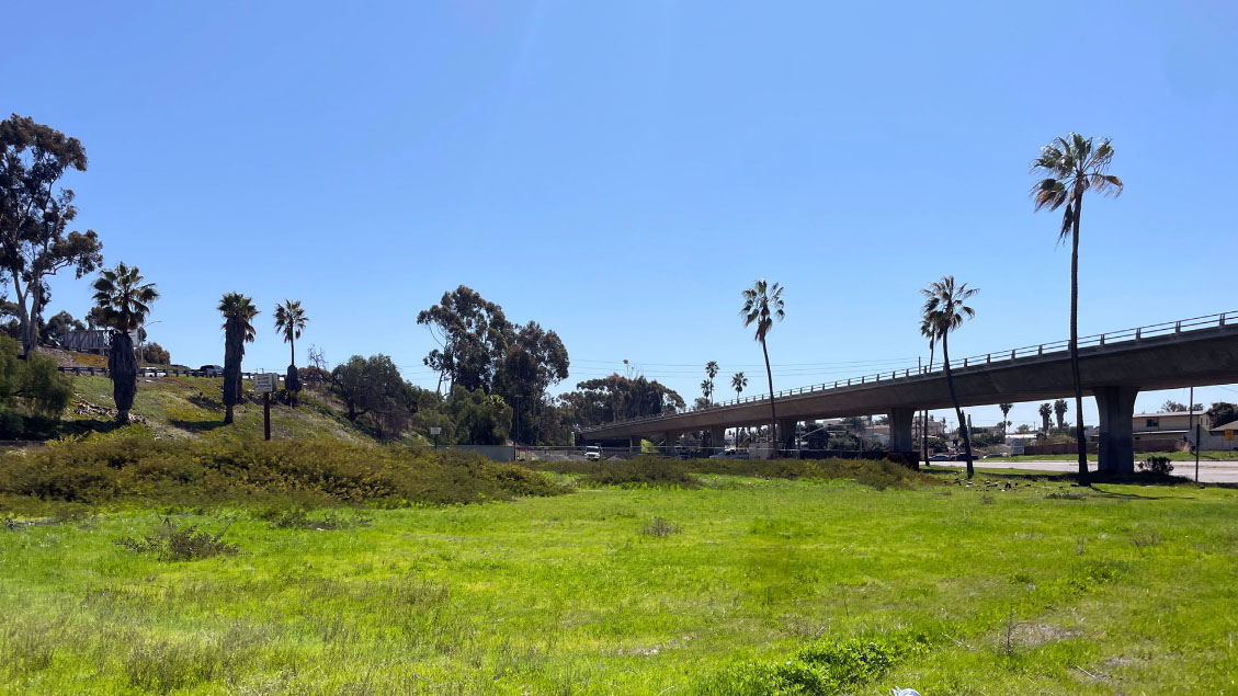 Image depicts greenbelt under highway bridge with palm trees