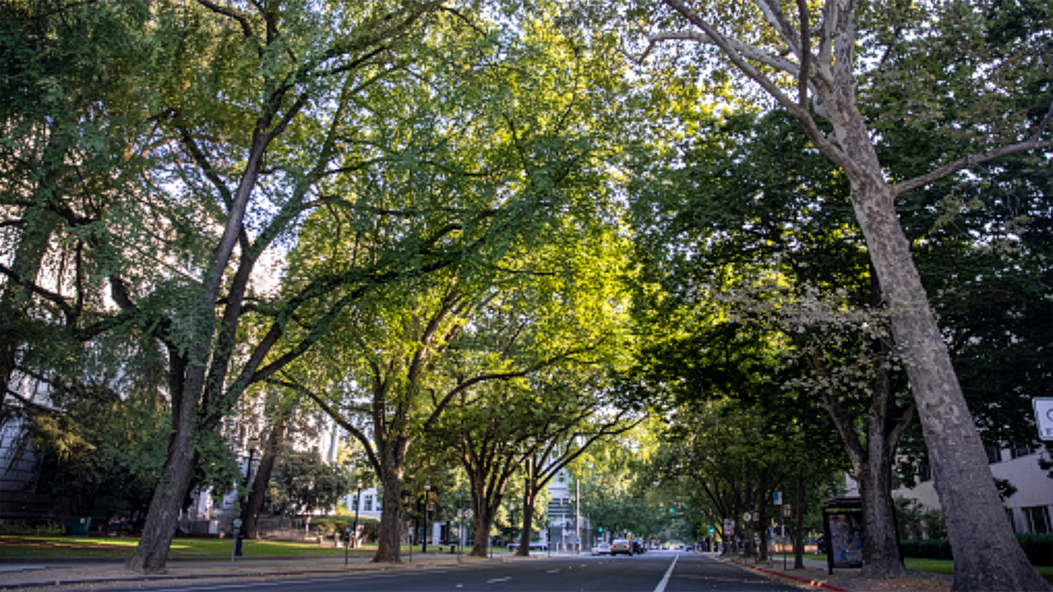 One Heat Advancing Heat Resilience Sacramento Hero