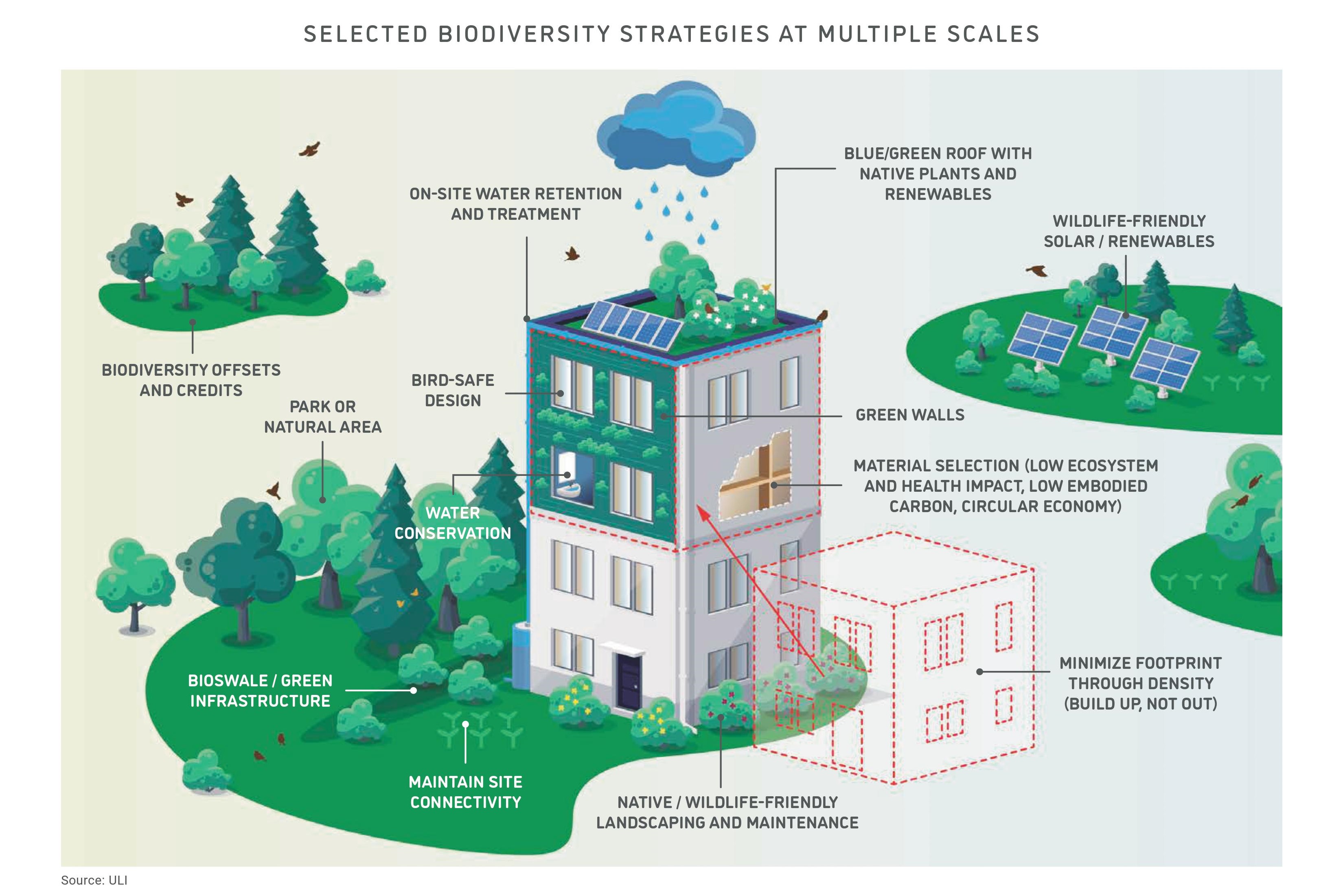 Selected biodiversity strategies at multiple scales infographic